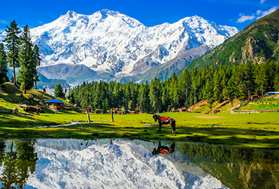Fairy Meadows alpine meadow with Nanga Parbat base camp northern Pakistan