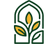 Rawdah al-Sharif sacred garden Prophet's house minbar Masjid al-Nabawi